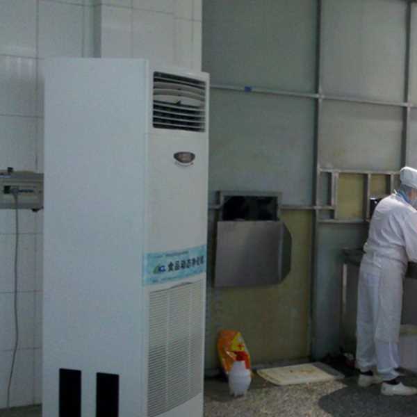 青浦食品正负离子空气杀菌器